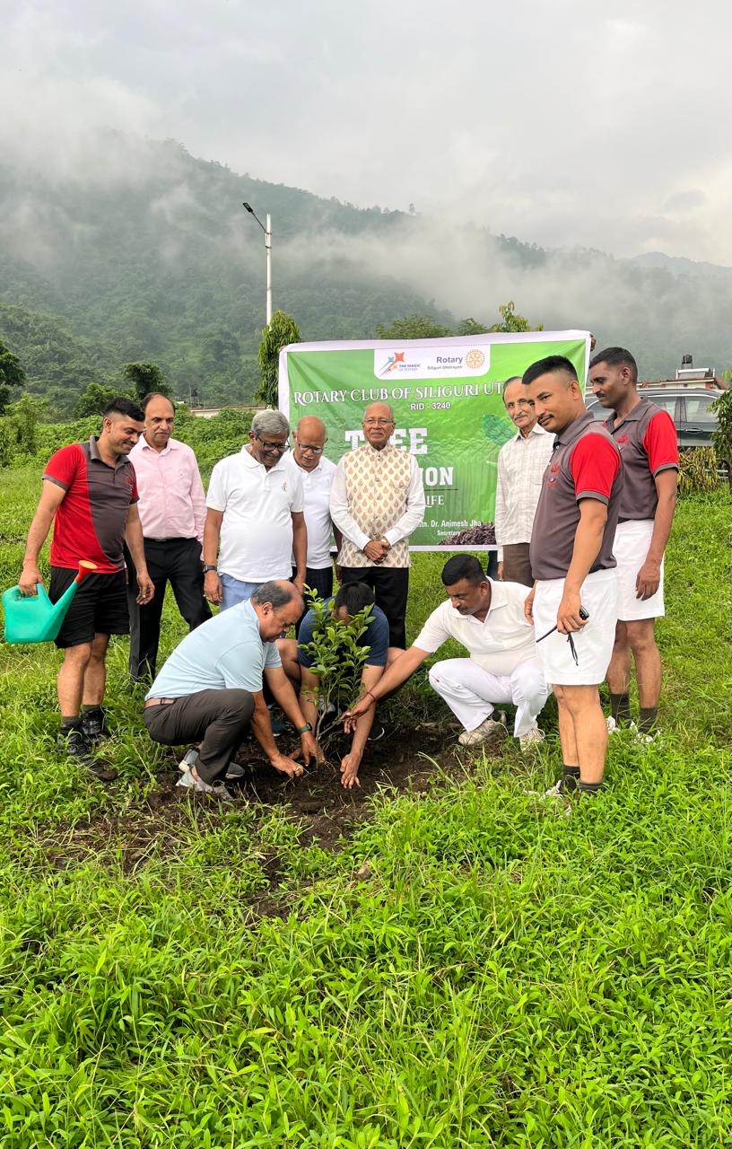 Read more about the article Tree plantation