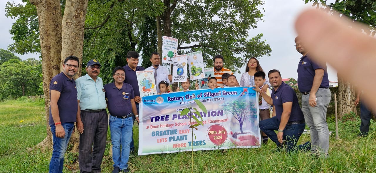 Read more about the article Green’s Tree Plantation Drive