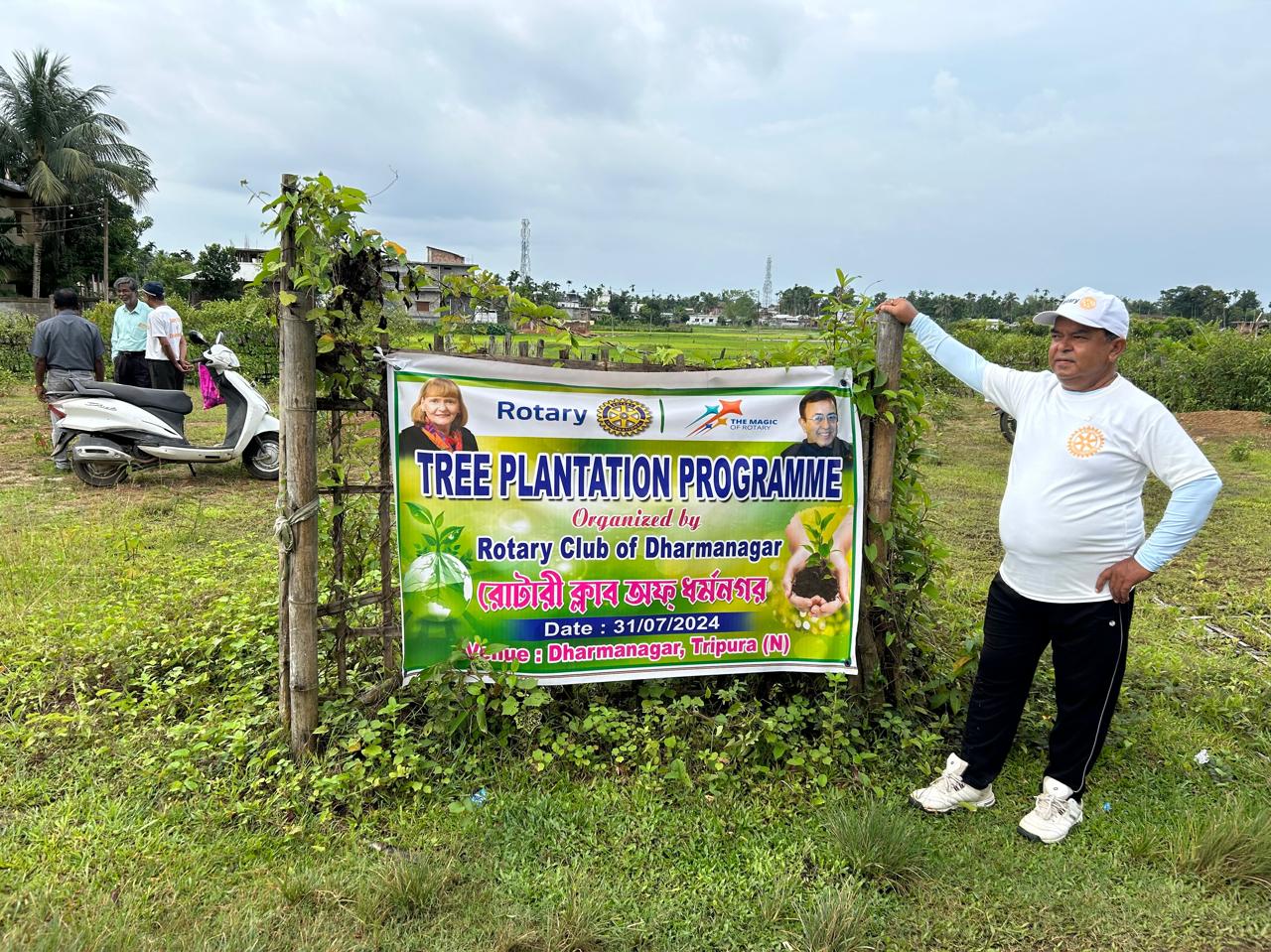 Read more about the article Plantation