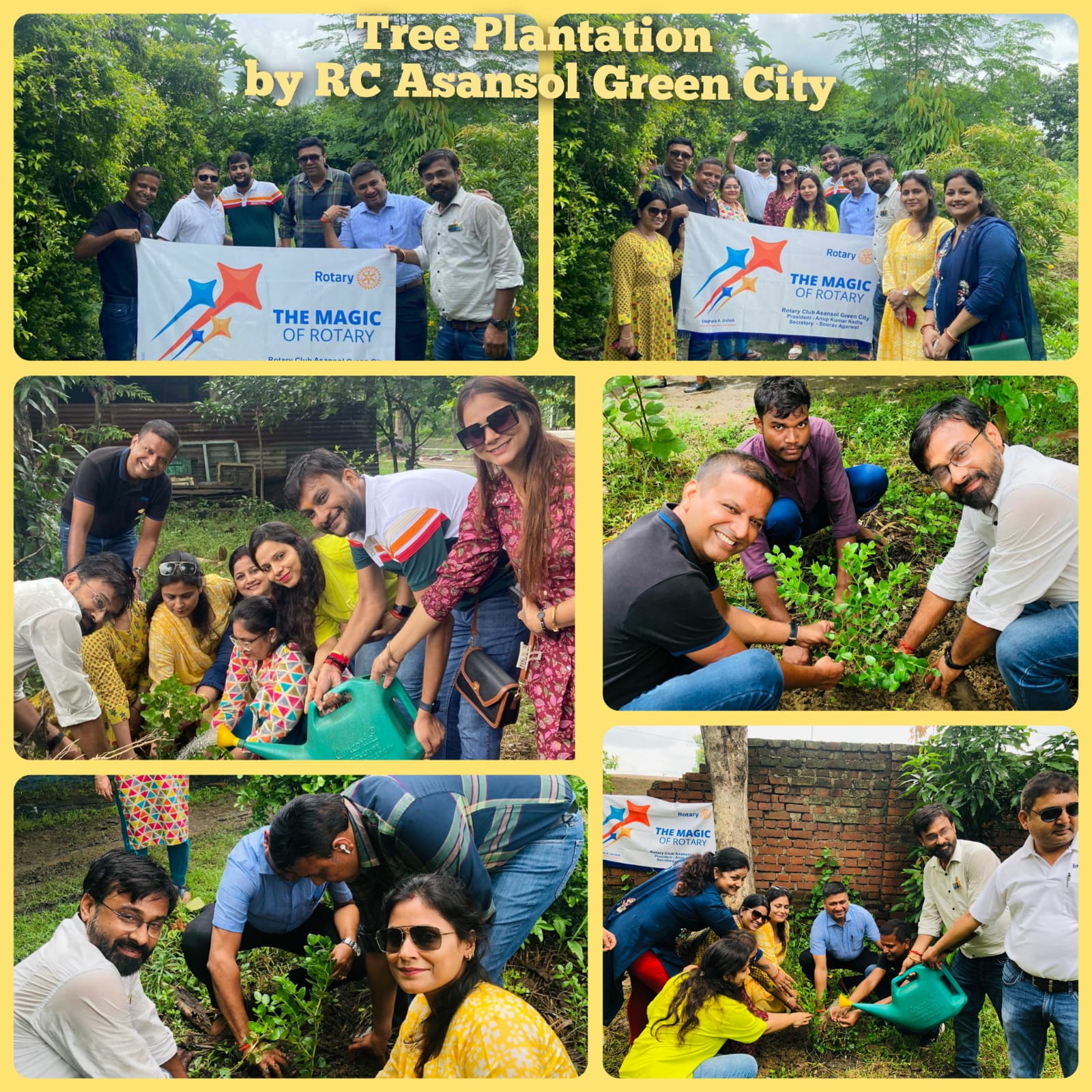 Read more about the article PLANTATION OF SAPLINGS