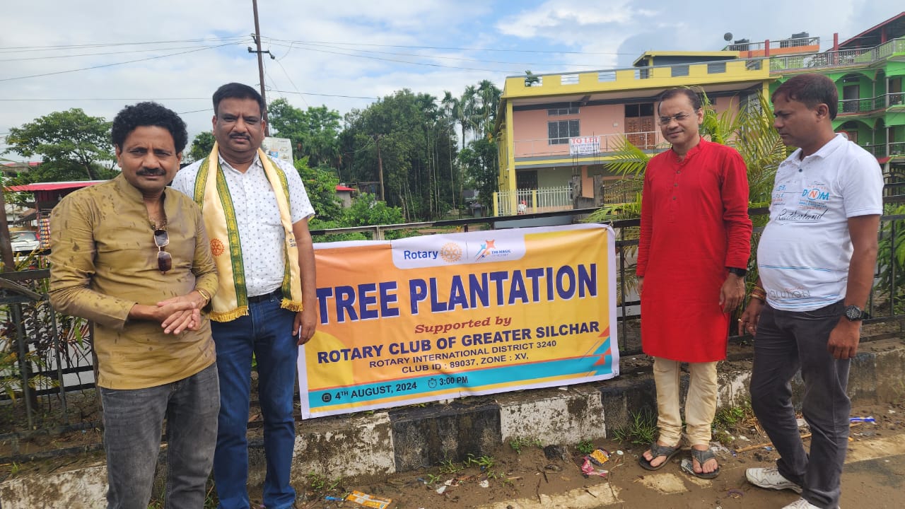 Read more about the article Tree Plantation at Road Divider