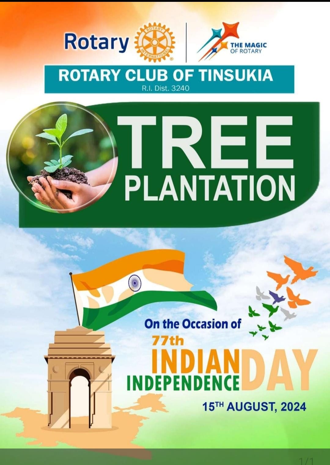 Read more about the article TREE PLANTATION