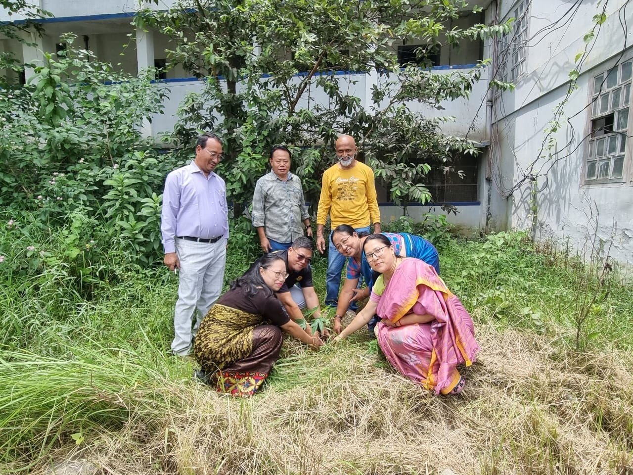 Read more about the article Tree plantation