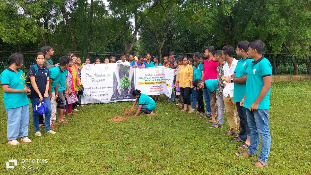 Read more about the article Tree plantation