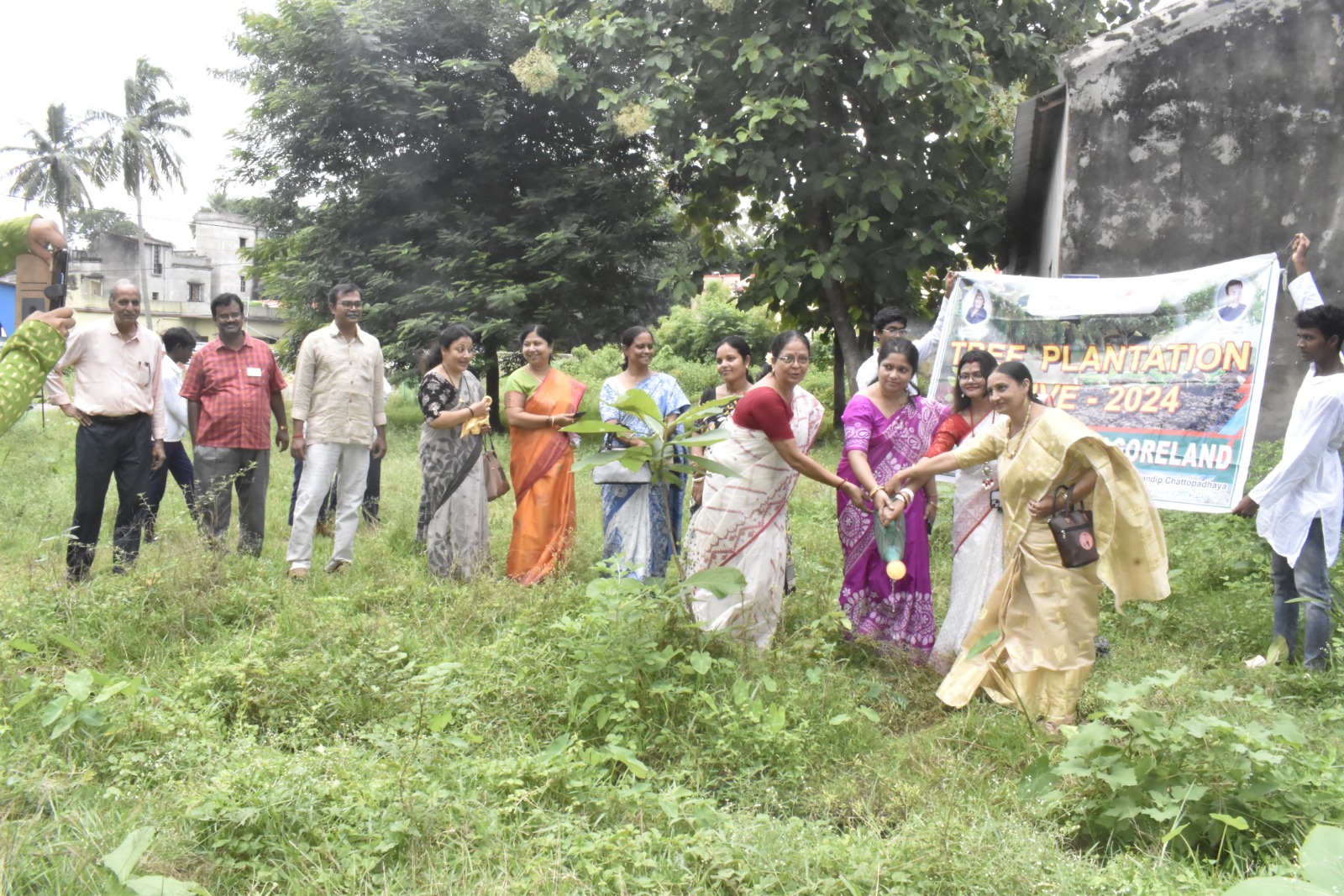 Read more about the article Tree Plantation th Phase