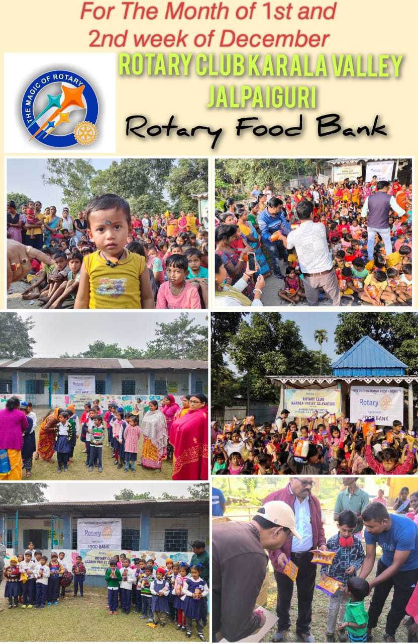 Read more about the article Rotary foodbank