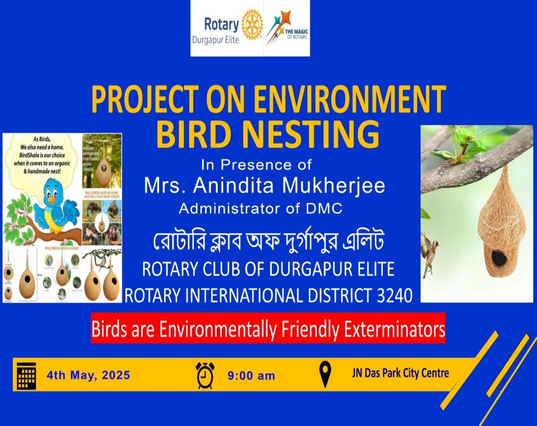 Read more about the article Project on Environment: Bird Nesting & Feeding