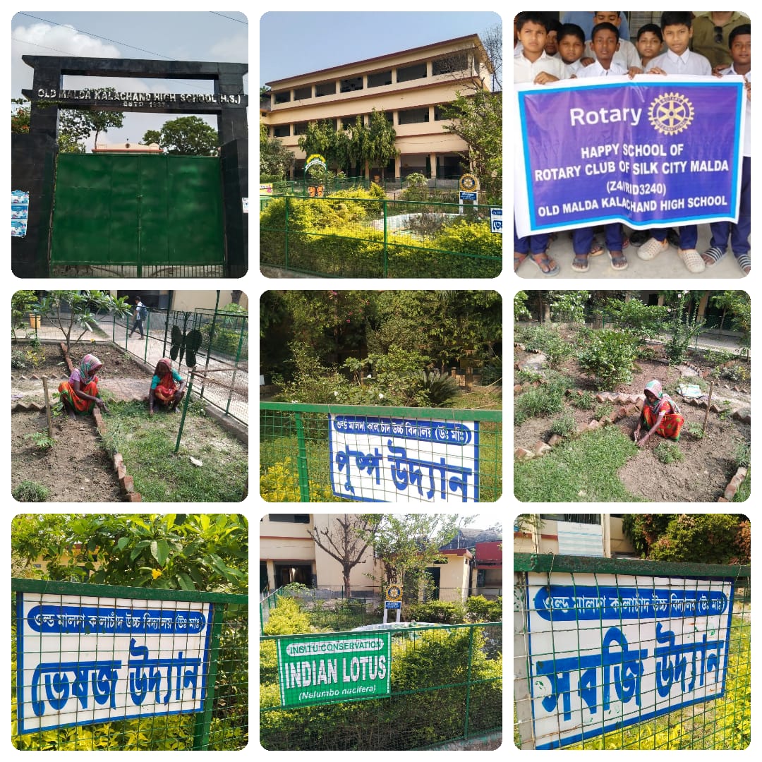 Read more about the article Three days School cleanings activity at the premises of our HAPPY SCHOOL on 5th May, 2025