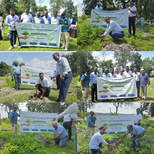 Read more about the article world environment day (Tree Planation Drive -4 )