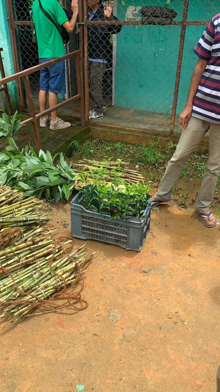 Read more about the article Environment Mission