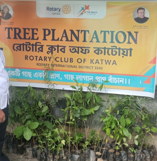 Read more about the article TREE PLANTATION